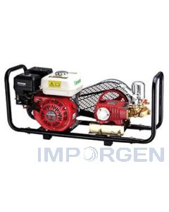 GRUPO Motor Gasolina 4T STERK-168FA